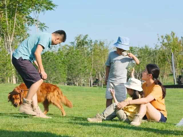 出门遛狗，牵绳or自由?专家揭秘最佳选择?