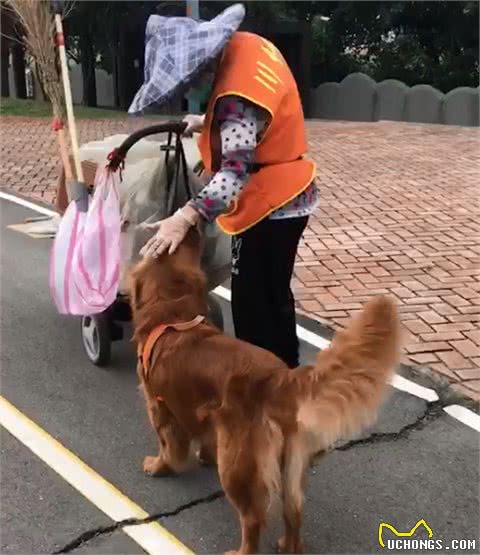球被清洁阿姨捡到，狗狗坐下撒娇超有礼貌：能把球球还给我吗?