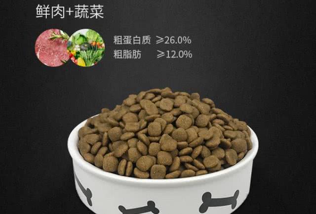 狗狗舔不同的部位，代表着什么意思?