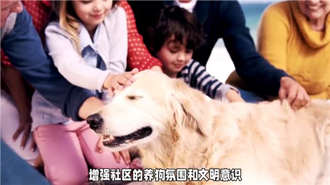 如何避免狗狗频频咬人?