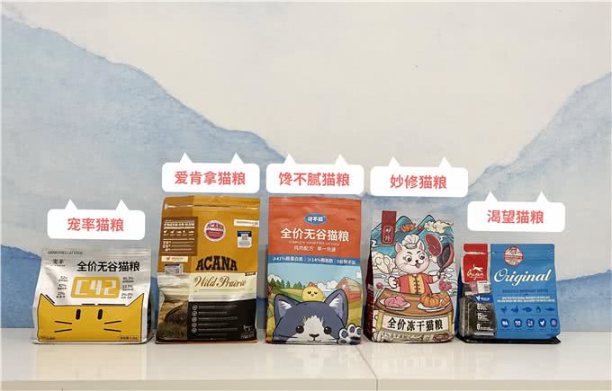 不得不说，无毛猫是真的好