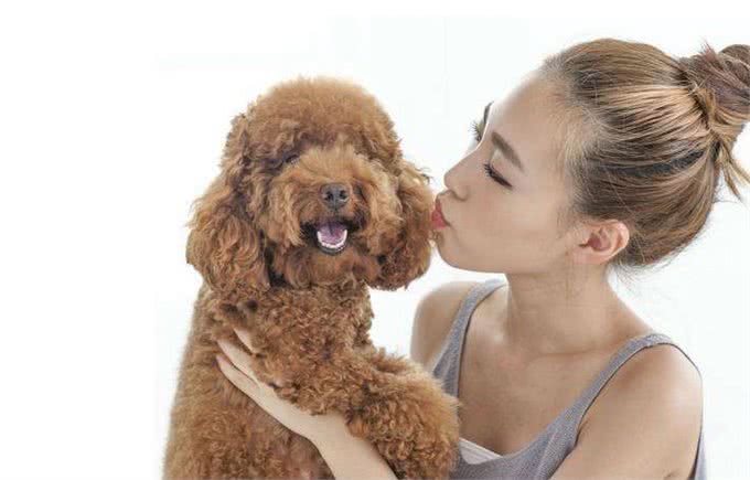 最懂得报恩的6种狗，给过它一口吃的，拿一生证明给你看