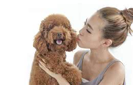 最懂得报恩的6种狗，给过它一口吃的，拿一生证明给你看
