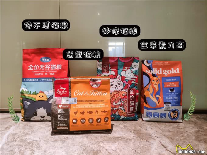 长期缺少陪伴的狸花猫，会有这些症状，别不明白
