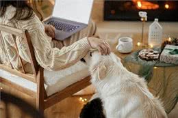 狗狗的抚摸我信号:读懂爱犬心声，正确回应它的期待