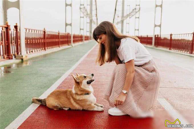 如何教狗狗上厕所大小便