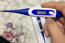 想给狗狗量体温，正确的姿势不能少!来学给狗狗测量体温的技巧!