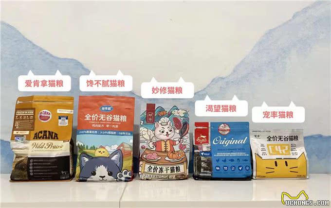 这些猫咪体味超轻，一年不洗澡，问题都不大