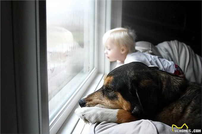 狗狗冬天散步指南:如何为爱犬打造温暖的户外时光