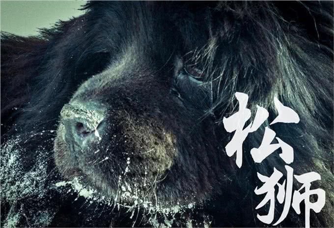 不拴狗绳就能要人命的6种大型猛犬