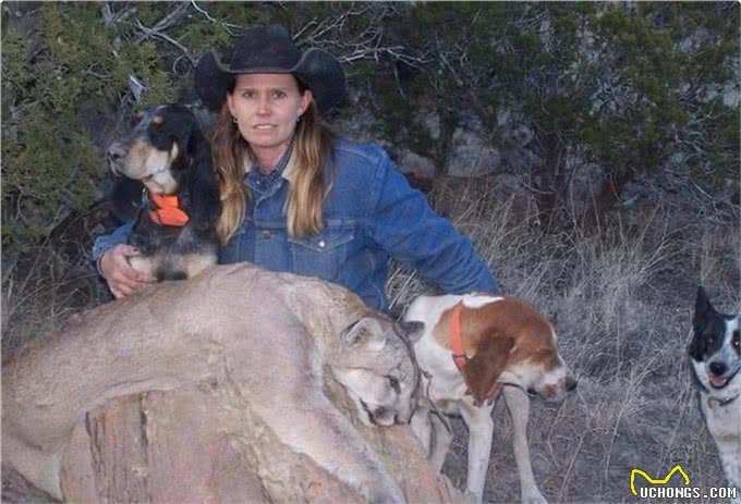 一种神秘猛犬，可完爆比特犬，虐杀黑熊，号称美国境内第一勇士