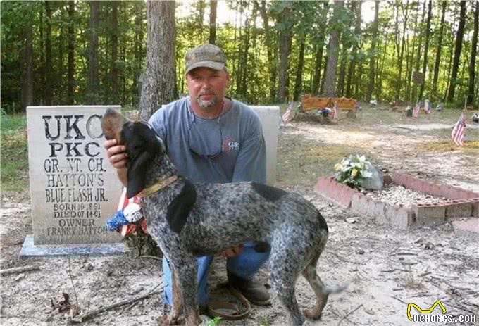 一种神秘猛犬，可完爆比特犬，虐杀黑熊，号称美国境内第一勇士