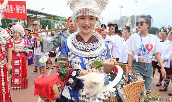 说说世界名犬—下司犬