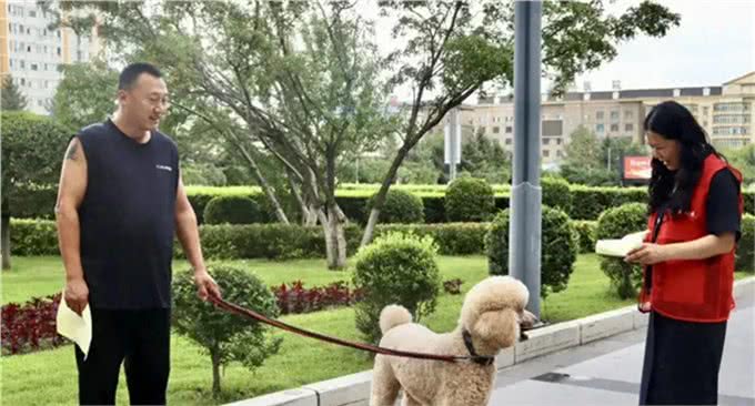 西城区文明养宠，文明养犬知识大科普