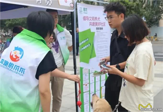 西城区文明养宠，文明养犬知识大科普