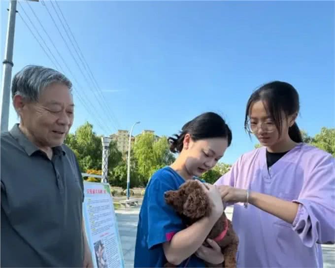 西城区文明养宠，文明养犬知识大科普