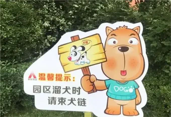 西城区文明养宠，文明养犬知识大科普