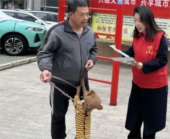 西城区文明养宠，文明养犬知识大科普