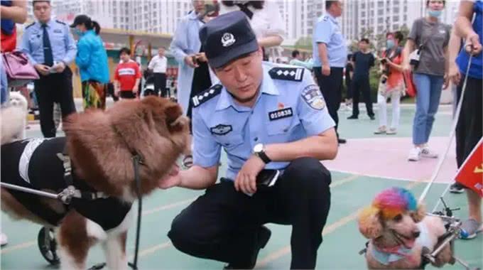 西城区文明养宠，文明养犬知识大科普