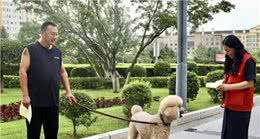 西城区文明养宠，文明养犬知识大科普