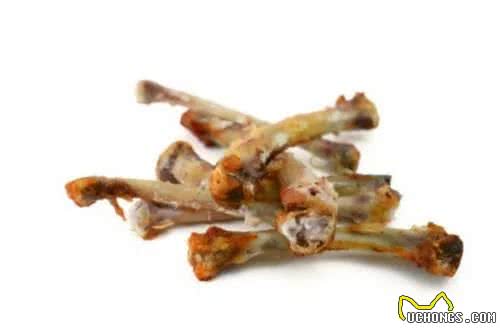 喂养狗狗的这些误区，铲屎官要留意了