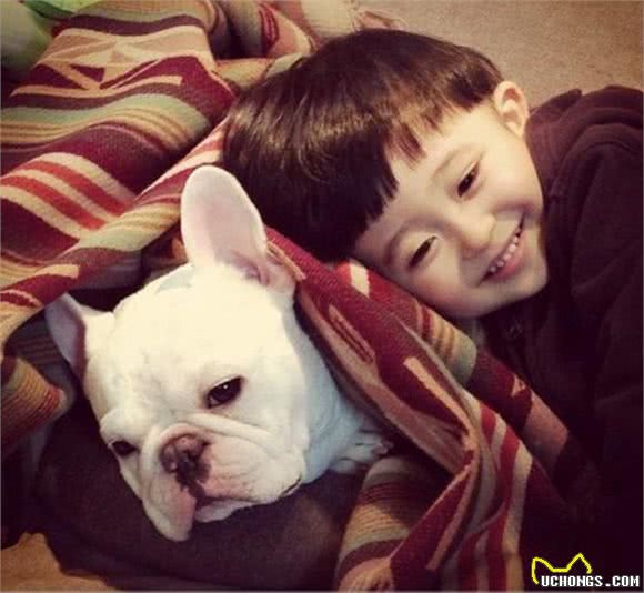 想养法国斗牛犬?先看看自己对它了解有多少