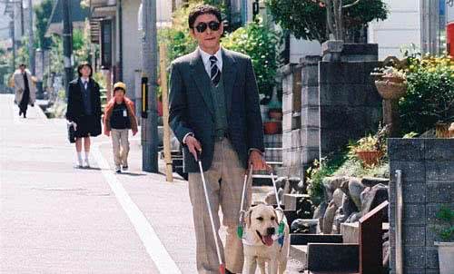 关于导盲犬,你需要了解的小常识