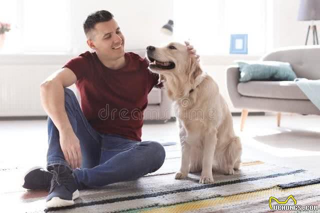 守护爱犬的幸福与健康：避免无意的伤害