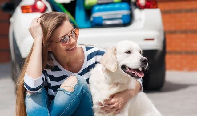 守护爱犬的幸福与健康：避免无意的伤害