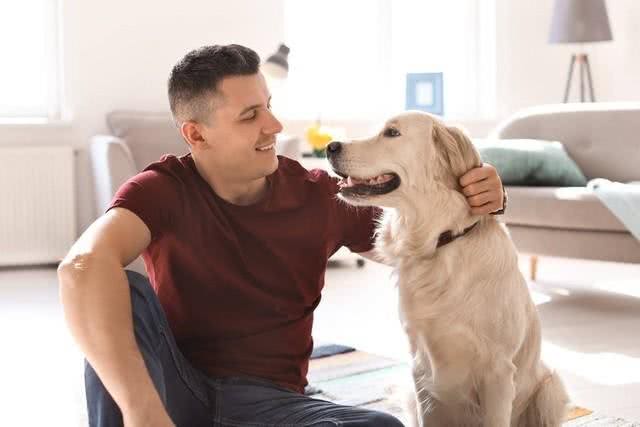 守护爱犬的幸福与健康：避免无意的伤害