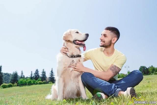 守护爱犬的幸福与健康：避免无意的伤害