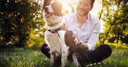守护爱犬的幸福与健康：避免无意的伤害