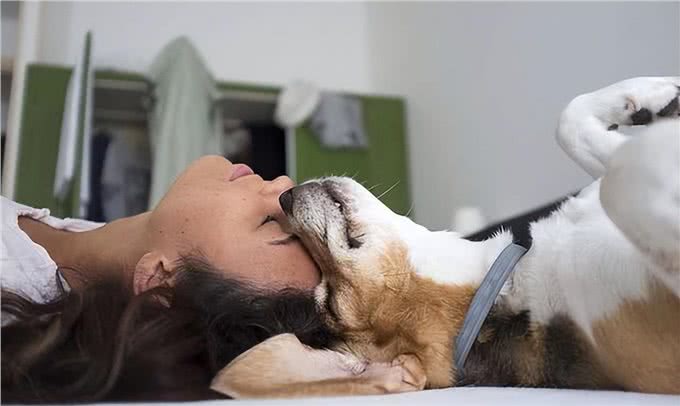 狗狗的这几种行为，其实在保护你，别傻傻不知