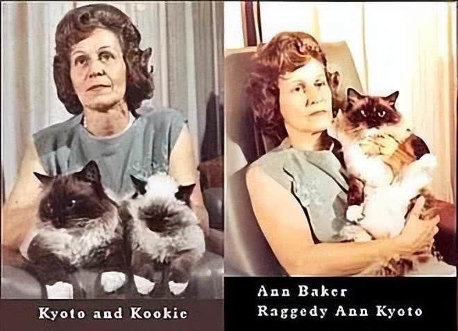 仙女猫背地里竟然是软便大王?