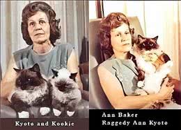 仙女猫背地里竟然是软便大王?