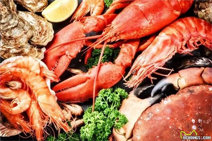 狗狗饮食禁忌!5种难消化食物，你喂了吗?