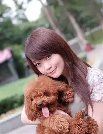 贵宾犬怎么养?最正确的贵宾犬饲养方法