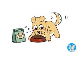 幼犬犬粮和奶糕是同一个东西吗?有什么区别?又能不能代替呢?