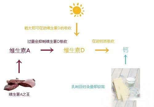 辟谣!宠物吃骨头不能起到补钙作用，相反还会引起便秘!