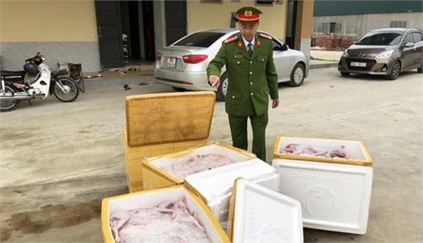 越南巴士运1200斤冷冻猫尸被查，当地人爱吃猫，不够还从中国进口