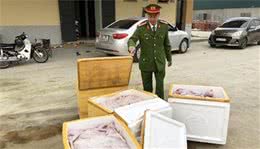 越南巴士运1200斤冷冻猫尸被查，当地人爱吃猫，不够还从中国进口