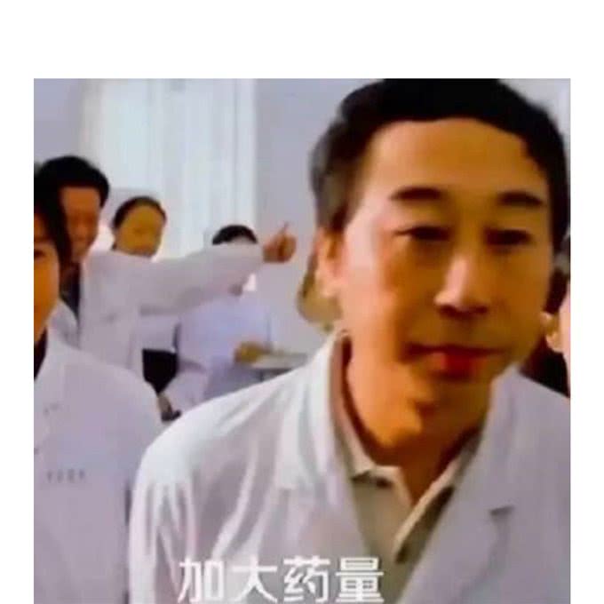 进口狗子主食罐，小众VS热门，谁更值得买?—养宠进阶指南