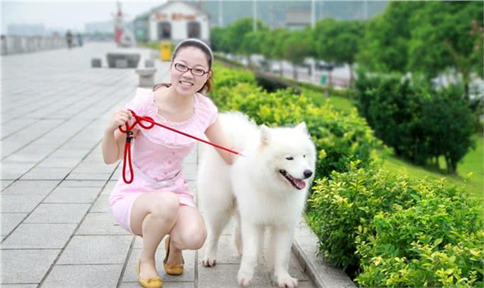 宠物讲堂-铲屎官宠物狗拉稀要重视，详解狗狗拉稀原因以及对策