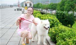宠物讲堂-铲屎官宠物狗拉稀要重视，详解狗狗拉稀原因以及对策