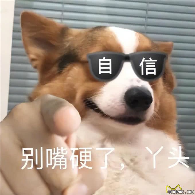 原来你摸狗狗爪子，在它心里，是这样想的!