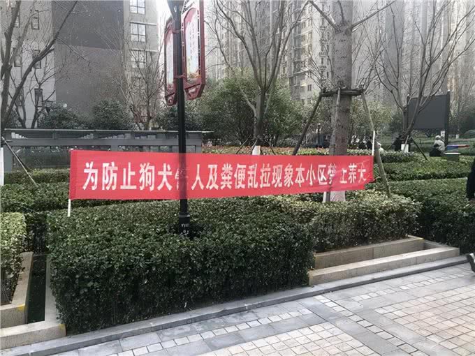 全面禁止养狗,小区可以为所欲为?