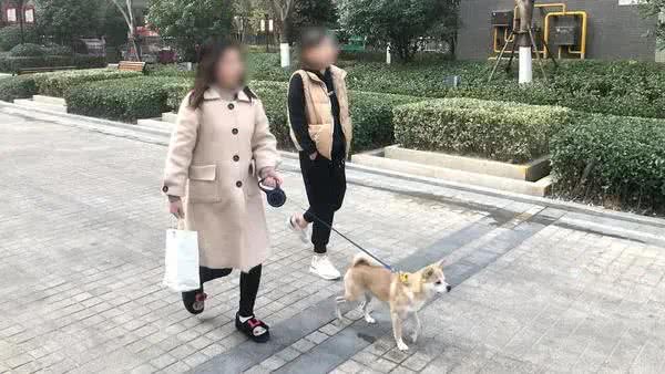 全面禁止养狗,小区可以为所欲为?