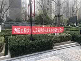 全面禁止养狗，小区可以为所欲为?