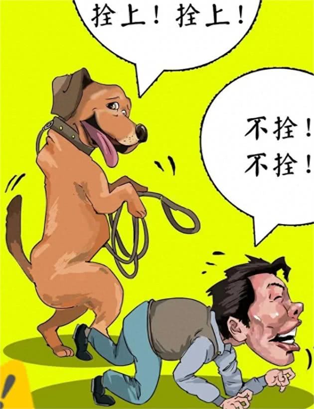 中国人!到底怎么了?狗狗犯错，何必殃及无辜?