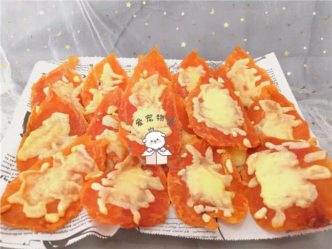狗狗的精致生活